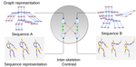 Skeleton-Contrastive 3D Action Representation Learning