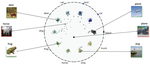 Hyperbolic Busemann Learning with Ideal Prototypes